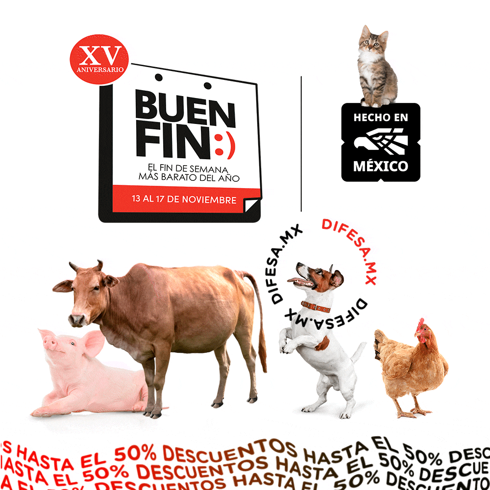 Buen Fin
