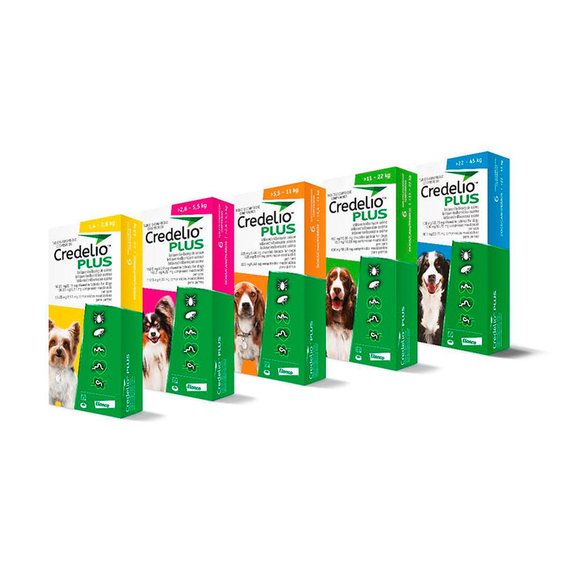 Cleanguard shampoo antipulgas | Perros y gatos | Tienda