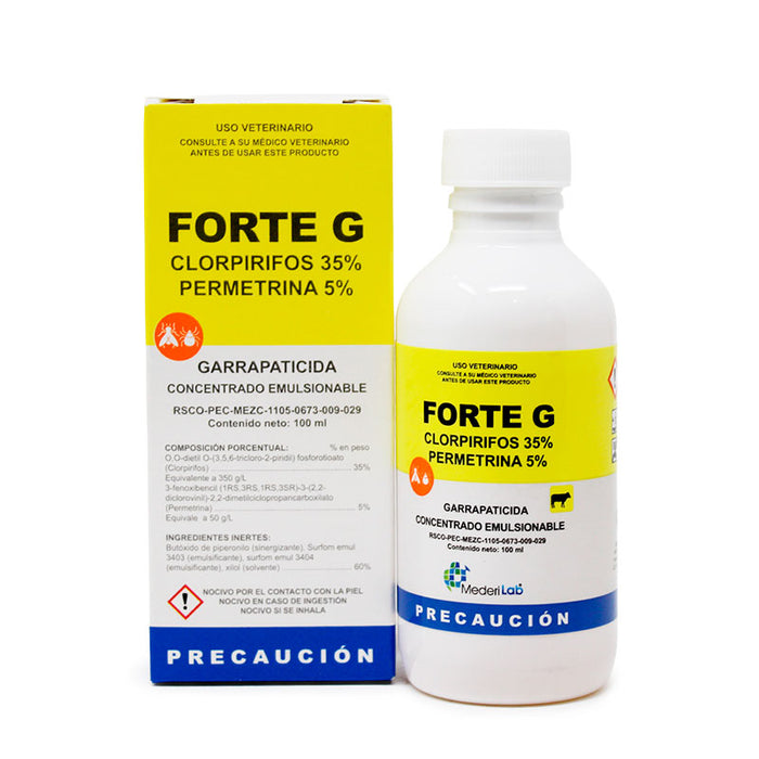 Forte G