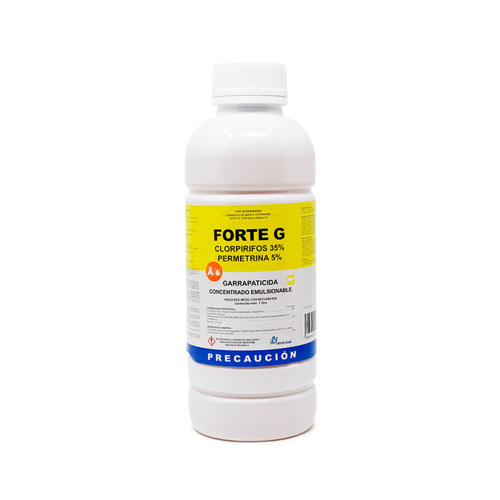 Forte G