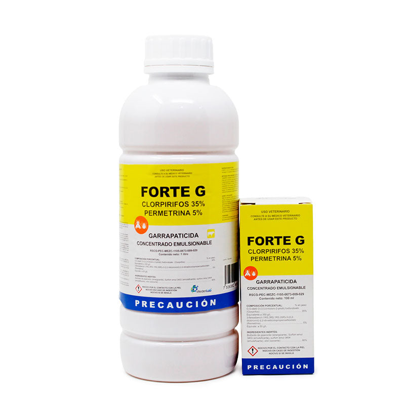 Forte G