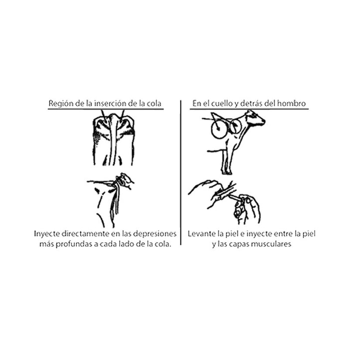 Lactotropina