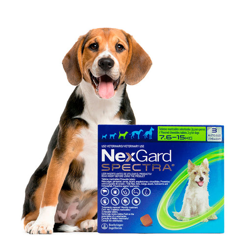 Nexgard Spectra® 3 masticables para perritos de 7.6 a 15 kg