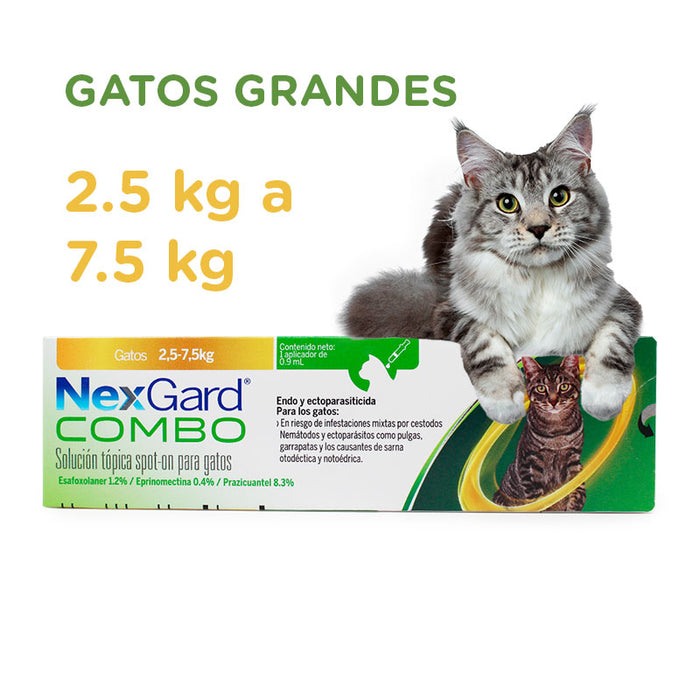 Nexgard combo dos tamaños gatos antiparasitario pulgas garrapatas gusanos planos y redondos