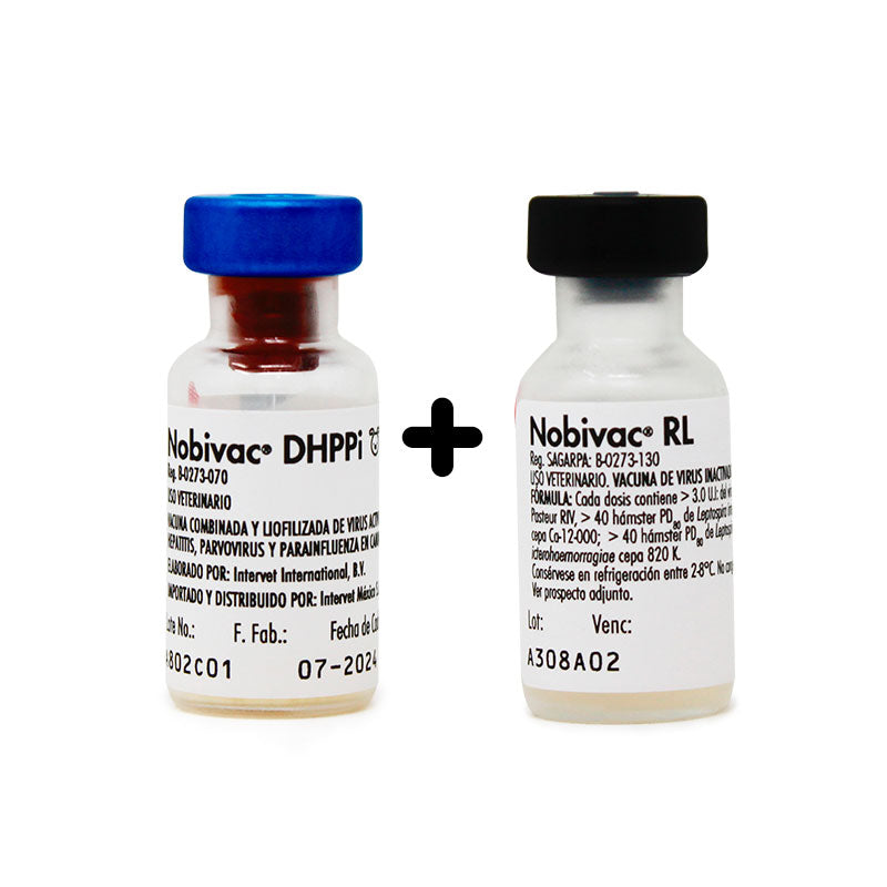 Nobivac® DHPPi + Nobivac®  RL