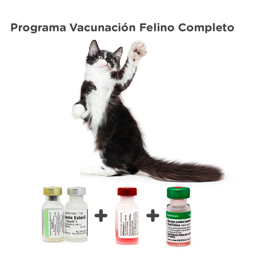 Programa Vacunación Felino Adulto Completo Zoetis + MSD - Difesa