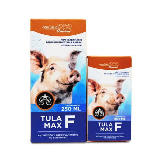 Tula Max F - Difesa