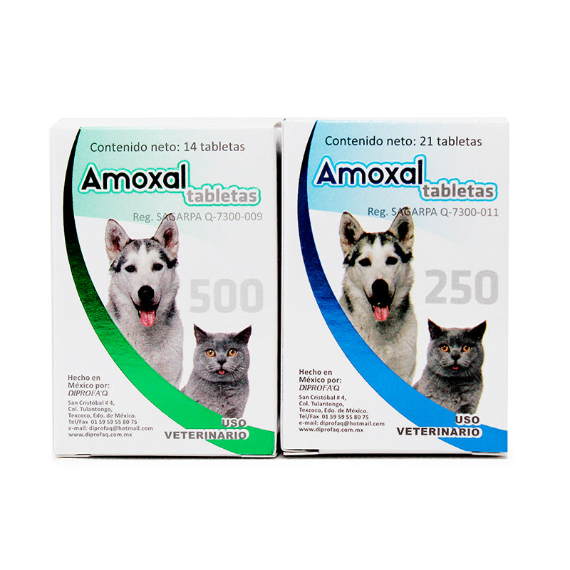    Amoxal Tabletas Antibiótico Difesa