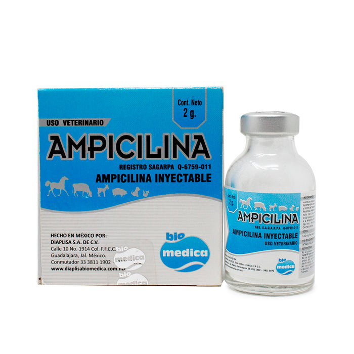 Amplicina 2g Antibiótico Difesa