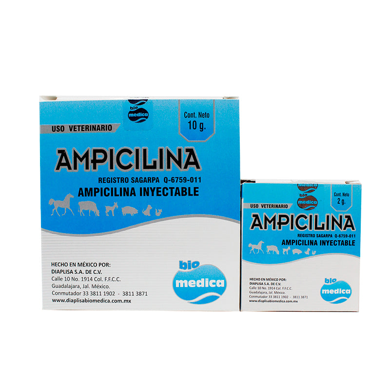 Ampicilina | Antibiótico | Tienda