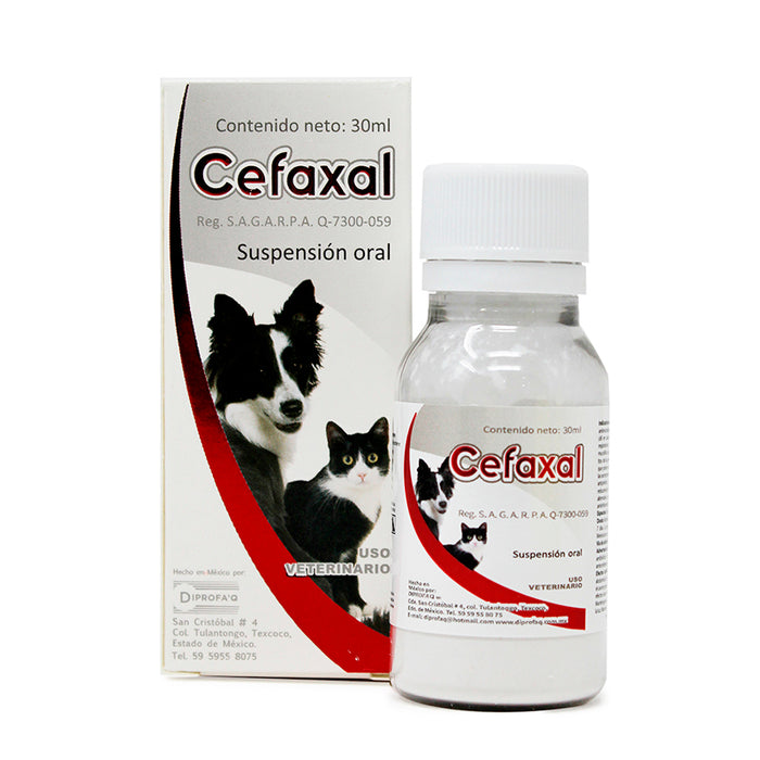 Cefaxal 30 ml Antimicrobiano Difesa