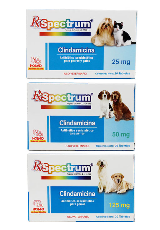 Clindamicina_antibiotico_perros_gatos_holland_difesa