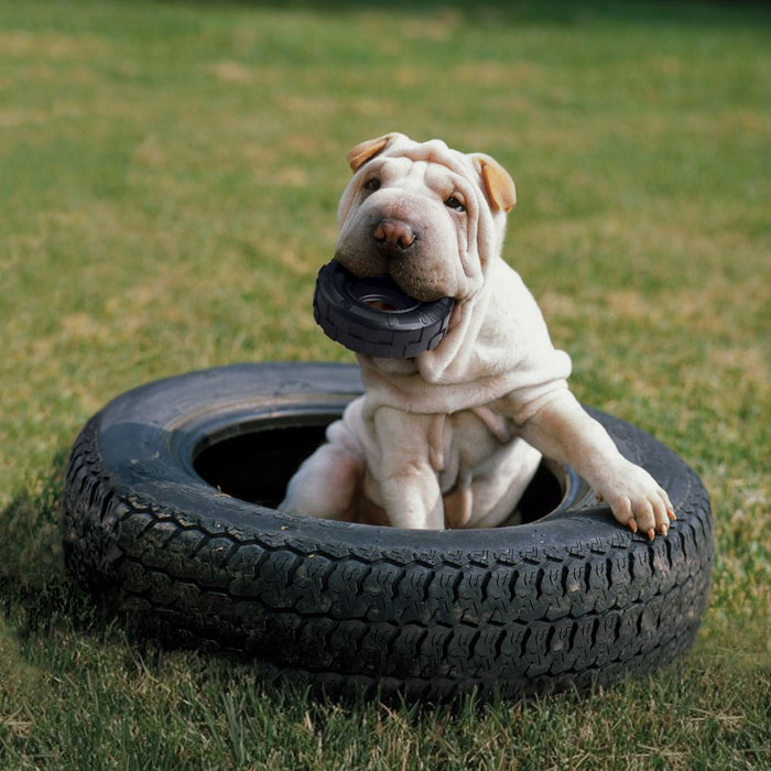 kong_extreme_tires_llanta de juguete para perro altamente resistente