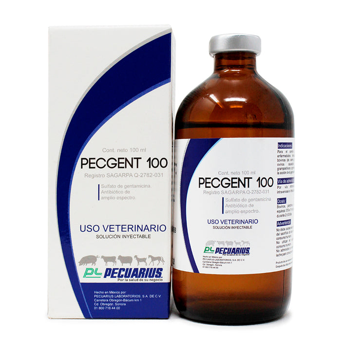 Pecgent-100-100ml-Sulfato-de-gentamicina-Antibiótico