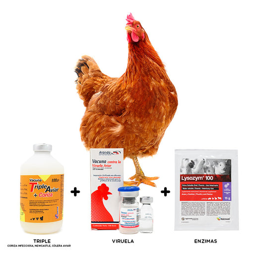 Triple aviar, coriza, colera, newcastle, viruela, enzimas vacunacion aves pollos, gallos, gallinas
