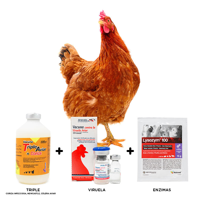 Triple aviar, coriza, colera, newcastle, viruela, enzimas vacunacion aves pollos, gallos, gallinas