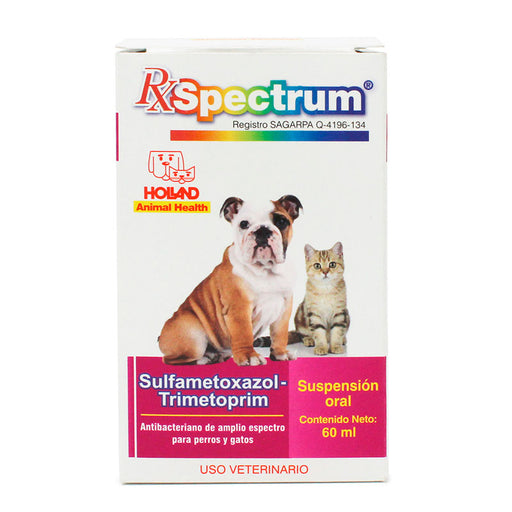 RX Spectrum sulfametoxazol-trimetoprim suspension oral 60 ml holland