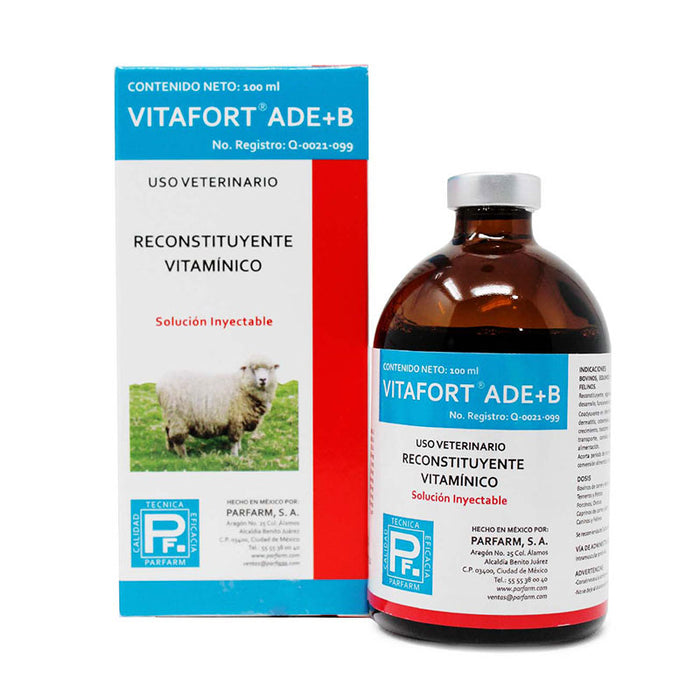 VITAFORT ADE+B 100 ml Reconstituyente Vitamínico Difesa