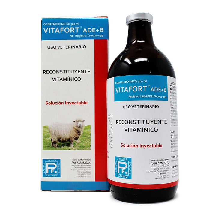 VITAFORT ADE+B 500 ml Reconstituyente Vitamínico Difesa