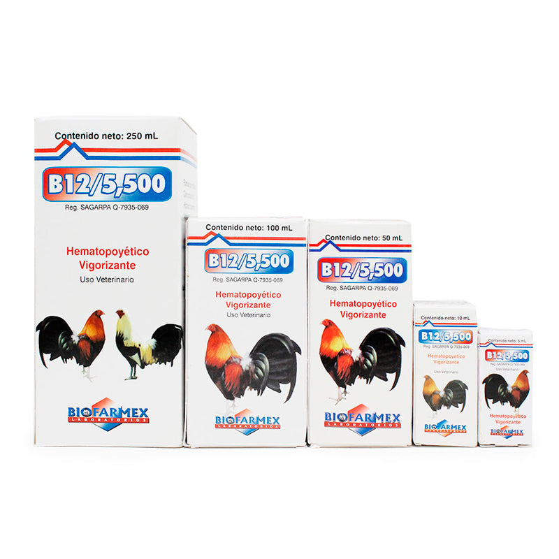 PER GALLI: B12-5500 Con Linguette Ferro 100 - Foto 11