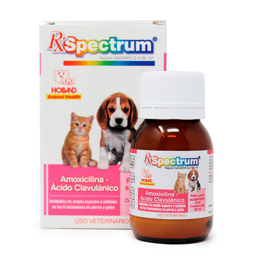 Amoxicilina, ácido clavulanico, perros y gatos, holland