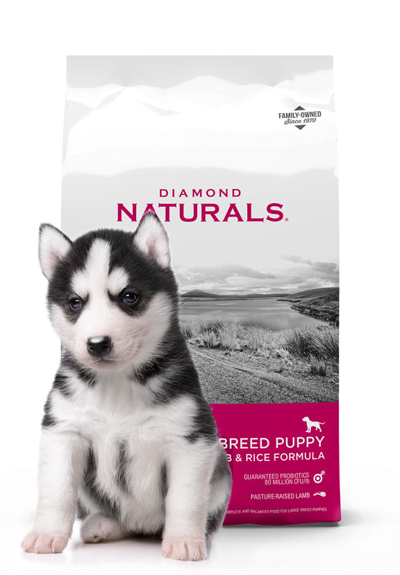 Diamond Naturals Large Breed Puppy Lamb and Rice