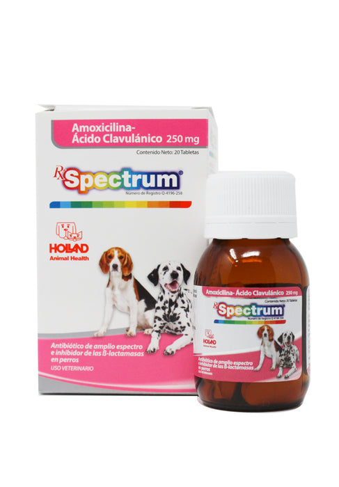 rx specturm amoxicilina antibiotico para perros y gatos