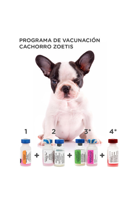 Programa de Vacunación Cachorros Zoetis